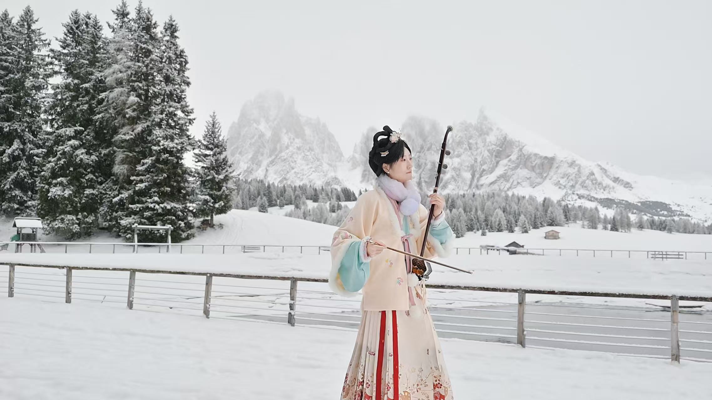 erhu bassa