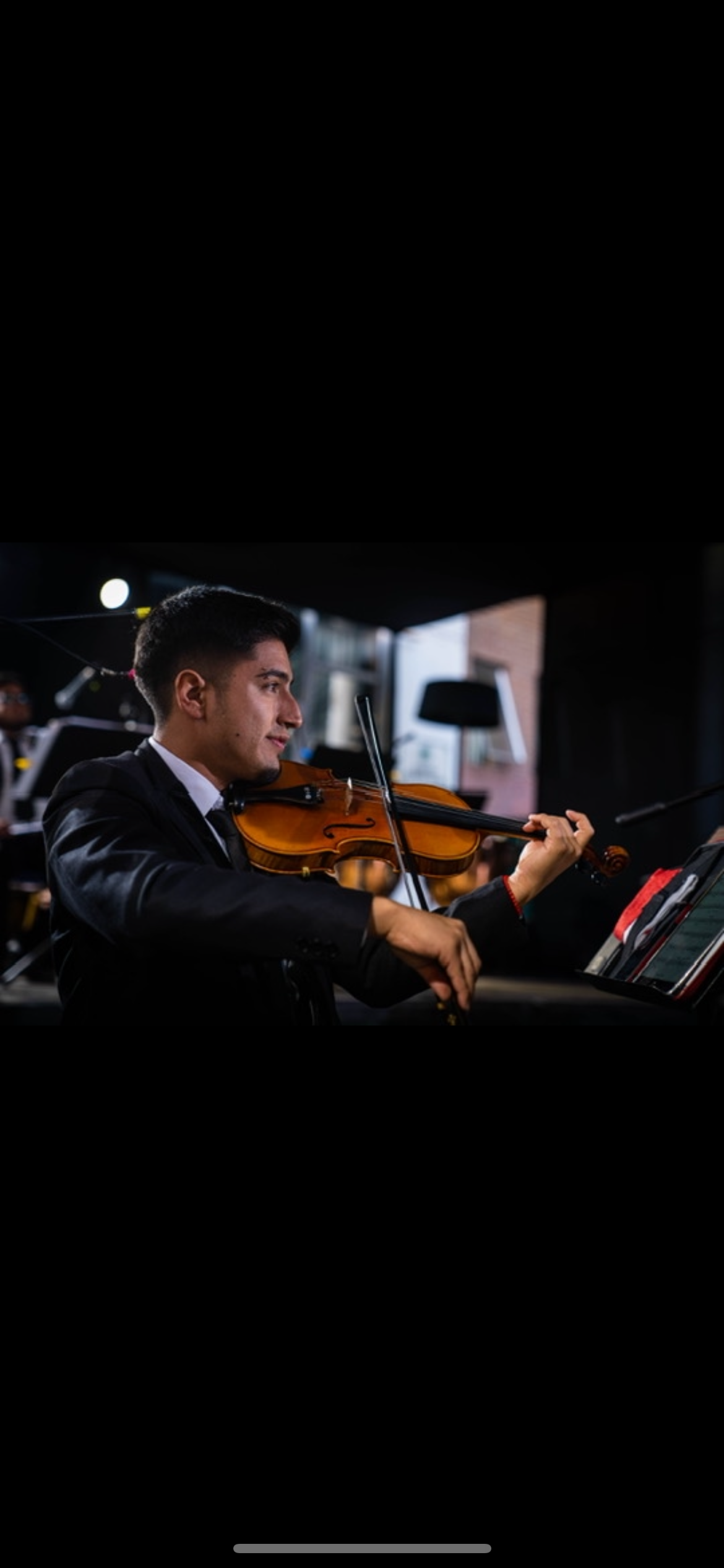 Violinista